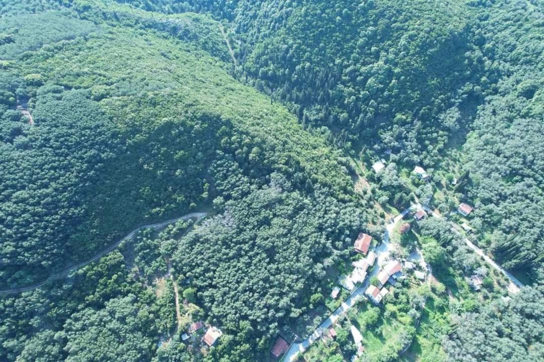 Harry'S Retreat Pension Klimatia Buitenkant foto